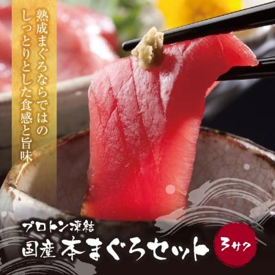 ふるさと納税 福智町 プロトン凍結 国産本まぐろセット(3サク合計300g前後)