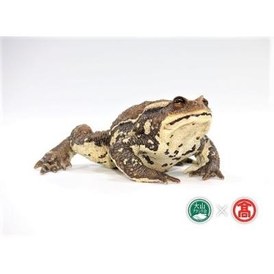 かわいい ニホンヒキガエルレプリカ 爬虫類 江府町 ふるさと納税 変温 蛙 515 V5 雨降り 田畑 その他インテリア雑貨 小物 Vesismin Com