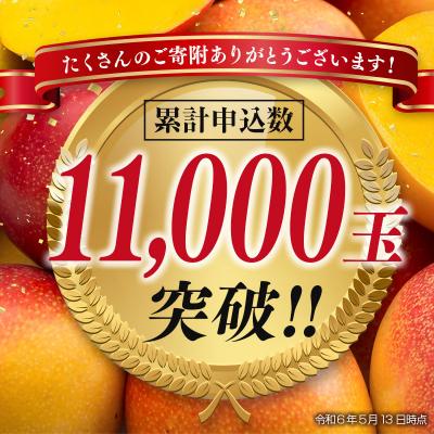 完熟マンゴー520gから550gの品5個画像品〔一部の地域のみクール代金込み 完熟マンゴー520gから550gの品5個画像品〔一部の地域のみクール