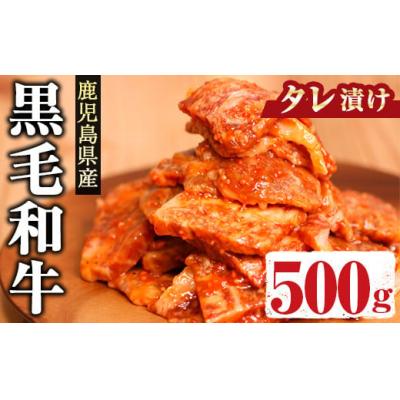 ふるさと納税 曽於市 鹿児島県産黒毛和牛(特製タレ漬け)500g