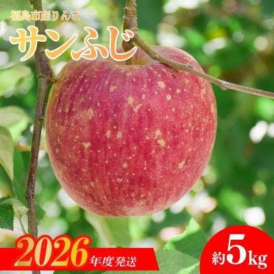 ふるさと納税 福島市 りんご「サンふじ」約5kg[2026年度発送]No.1472