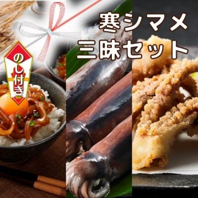 ふるさと納税 海士町 [のし付き]スルメイカ いか三昧セット 刺身 肝醤油漬け 唐揚げ 寒シマメ CAS 冷凍 小分け