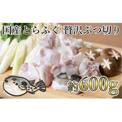 ふるさと納税 臼杵市 鮮度と品質に自信あり!朝〆新鮮!とらふぐ贅沢ぶつ切り(約600g)[冷蔵]
