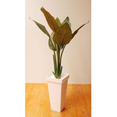 ふるさと納税 越知町 ストレチア(造花)GF-001