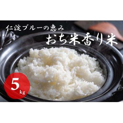 価格交渉ok送料無料 ふるさと納税 越知町 仁淀ブルーの恵み おち米 5kg 香り米ブレンド