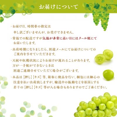 ふるさと納税 赤磐市 シャインマスカット 1房 マスカットジパング 1房 各約700g 贈答箱[NO5765-0696]の画像