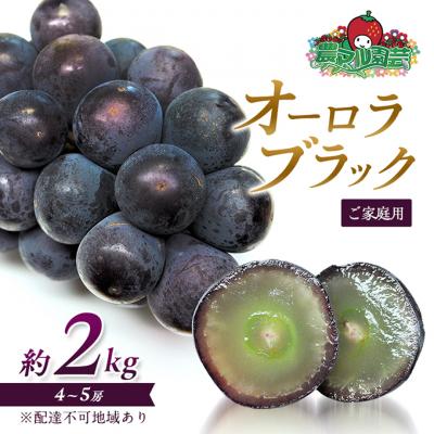 ふるさと納税 赤磐市 ぶどう オーロラブラック 約2kg 4〜5房 ご家庭用 葡萄 2026年[NO5765-0697]