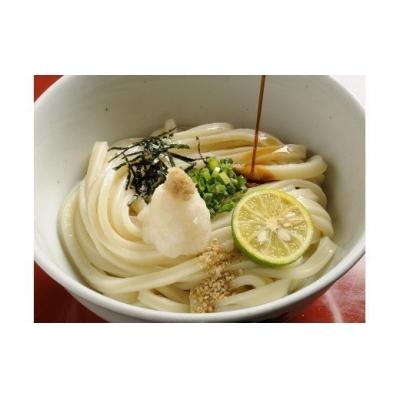 ふるさと納税 善通寺市 さぬき生うどん 14食セット(2人前×7袋)|y-sf|02