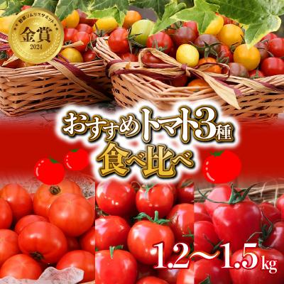 ふるさと納税 碧南市 [個数限定]トマト3種 食べ比べ 1.2〜1.5kg 長田農園しかできない夢の共演