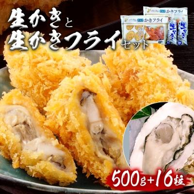 お気にいる ふるさと納税 石巻市 宮城県産 生かき と 大粒生 かきフライ のセット 内祝い Turningheadskennel Com