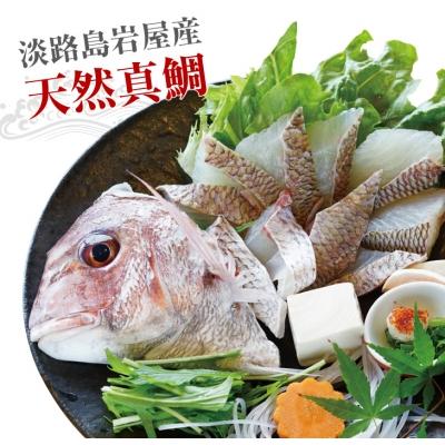 ふるさと納税 淡路市 淡路島岩屋産天然岩屋鯛しゃぶしゃぶセット(約3人前)[お届け日指定返礼品]