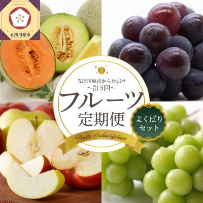 ふるさと納税 五所川原市 [7月発送開始]フルーツ定期便 5回 よくばりセット[訳あり]メロン ぶどう マスカット りんご