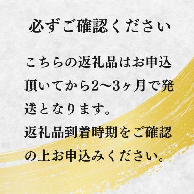 ふるさと納税 高千穂町 宮崎牛 赤身ステーキ300g 万能だれ付き｜y-sf｜03