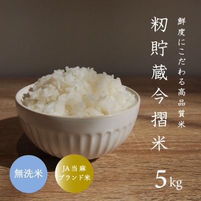 ふるさと納税 当麻町 令和7年産 無洗米 5kg 籾貯蔵今摺米きたくりん 北海道 