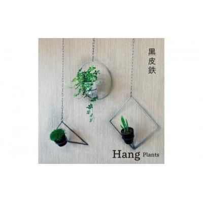 ふるさと納税 幸田町 GRAVIRoN Hang Plants シリーズ セット 黒皮鉄(プランツハンガー)