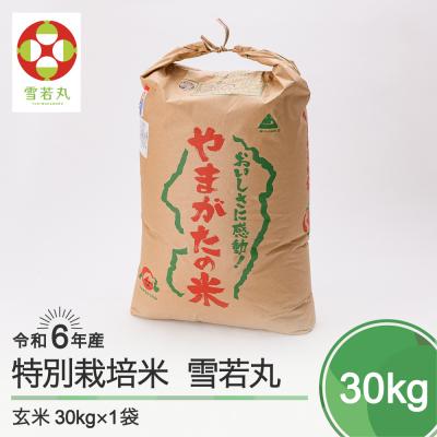 ふるさと納税 大石田町 令和6年産 雪若丸 30kg 山形県大石田町産 ふるさと納税 大石田町 令和6年産 雪若丸 30kg 山形県大石田町産