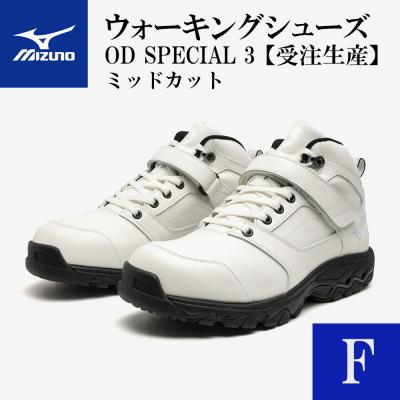 3089647