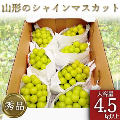 ふるさと納税 長井市 [2026年発送]「秀品」山形のぶどう(シャインマスカット)4.5kg以上_H135(R8)