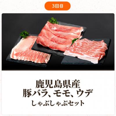 ふるさと納税 肝付町 肝付町セレクト定期便《鹿児島県産豚肉しゃぶしゃぶセット》【全3回】 C57002|y-sf|04