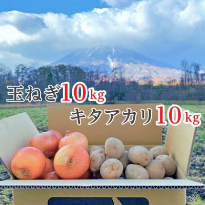 ふるさと納税 京極町 山田農場じゃがいも(キタアカリ)10kg・たまねぎセット10kg