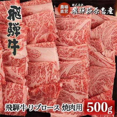 ふるさと納税 下呂市 [冷凍]飛騨牛リブロース 500g(焼肉用)[22-20[1]]