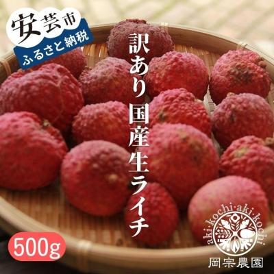 在庫あり ふるさと納税 安芸市 訳あり国産生ライチ 500g 12 玉程度 Wantannas Go Id