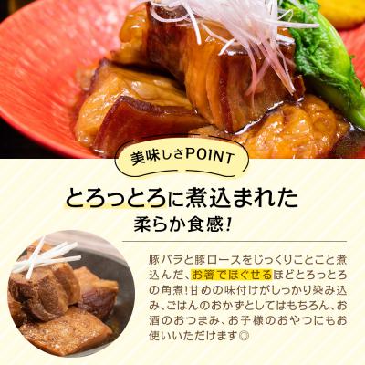 ふるさと納税 南さつま市 【訳あり】ふぞろいな豚の角煮&とんこつ味噌煮(計5パック)鹿児島県産豚肉使用 : さとふる - 通販 - Yahoo ...