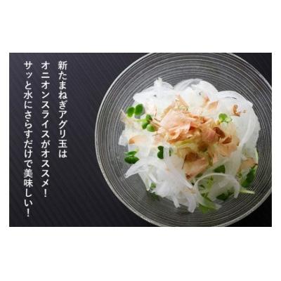 ふるさと納税 南あわじ市 【新玉受付】淡路島新たまねぎアグリ玉5kg ◆配送3月下旬〜の画像