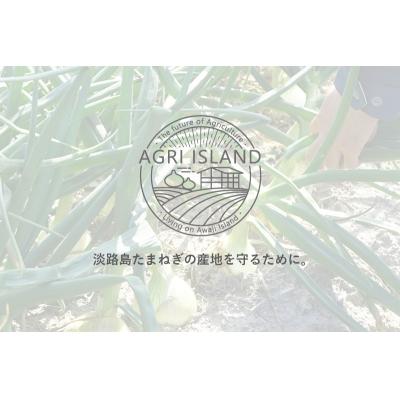 ふるさと納税 南あわじ市 【新玉受付】淡路島新たまねぎアグリ玉5kg ◆配送3月下旬〜の画像