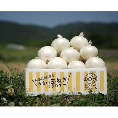ふるさと納税 南あわじ市 [先行受付!][ケンちゃんファーム]希少!特別栽培真っ白な白たまねぎ 3kg