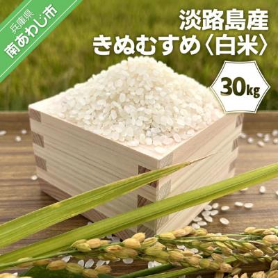 ふるさと納税 南あわじ市 淡路島産きぬむすめ 白米30kg