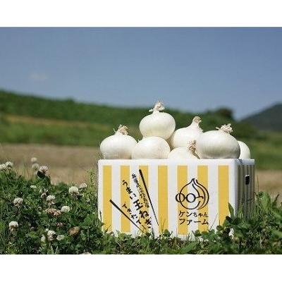 ふるさと納税 南あわじ市 [先行受付!][ケンちゃんファーム]希少!特別栽培真っ白な白たまねぎ 5kg