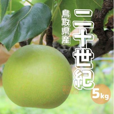 ふるさと納税 江府町 二十世紀梨 秀 約5kg 10〜20玉前後 鳥取県産 先行受付 2026秋収穫分 TM23 0679