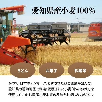 ふるさと納税 碧南市 【小麦粉】愛知県産 きぬあかり 国産 薄力粉 1kg×5袋(計5kg) 定期便3回 H008-103|y-sf|03