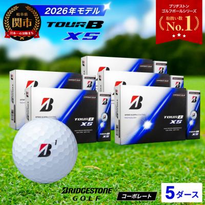 ふるさと納税 関市 【2026年モデル】5ダース TOUR B XS コーポレート 