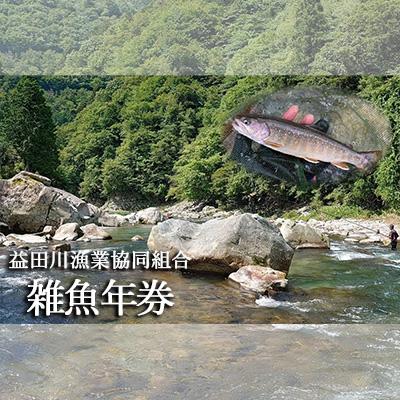 ふるさと納税 下呂市 [令和8年]益田川雑魚年券1枚 渓流釣り 釣り券 [35-2]