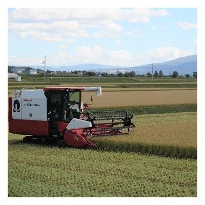 ふるさと納税 秩父別町 令和3年産 無洗米ななつぼし(真空パック)【HB4】|y-sf|03