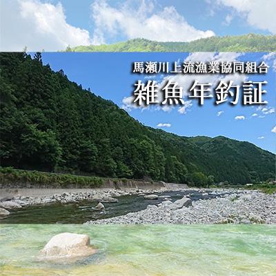 ふるさと納税 下呂市 [令和8年]馬瀬川上流雑魚年釣証 1枚 渓流釣り[36-2]