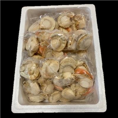 ふるさと納税 根室市 【北海道根室産】ボイルホタテ800g×3P(計2.4kg) C-01054の画像
