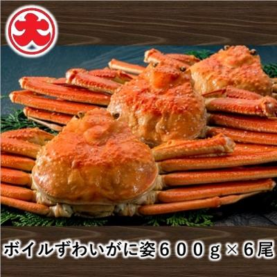 ふるさと納税 根室市 ボイルずわいがに姿600g×6尾