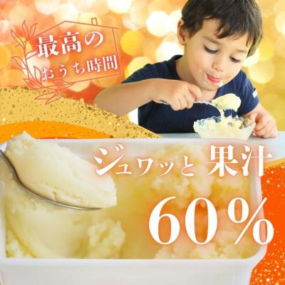 ふるさと納税 愛南町 みかん職人が作った柑橘アイス1000ml×4種(夢オレンジ・愛媛みかん・河内晩柑・しらぬい) |  | 01