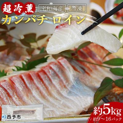 ふるさと納税 西予市 &lt;異次元の鮮度!宇和海産「超冷薫」冷凍カンパチ ロイン(5kg)&gt; かんぱち 海鮮 魚介 西予