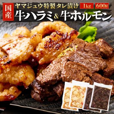 ふるさと納税 室戸市 ヤマジュウの特選タレ漬け!牛ハラミ肉1kg&amp;国産牛ホルモン600g