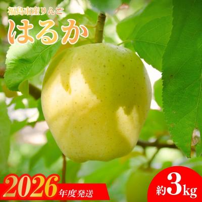 ふるさと納税 福島市 りんご「はるか」約3kg[2026年度発送]No.1474