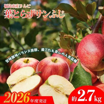 ふるさと納税 福島市 ふくしまのりんご 葉取らずサンふじ 贈答用 約2.7kg[2026年度発送] No.1924