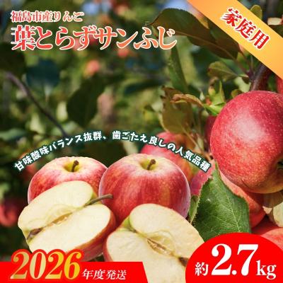 ふるさと納税 福島市 ふくしまのりんご 葉取らずサンふじ ご家庭用 約2.7kg[2026年度発送]No.1926