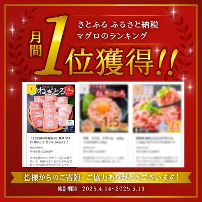 ねぎとろさま専用ページ ふるさと納税 焼津市 【2026年3月発送】焼津 マグロ ねぎとろ