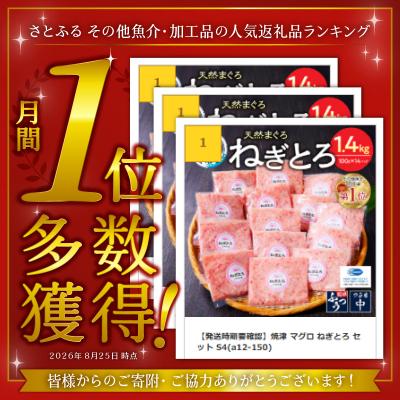 ふるさと納税 焼津市 【発送時期要確認】焼津 マグロ ねぎとろ セット