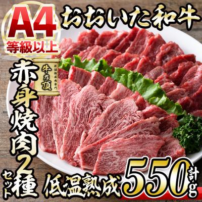 ふるさと納税 佐伯市 おおいた和牛 赤身 焼肉 2種セット