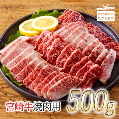 ふるさと納税 高原町 厳選 宮崎牛焼肉用500g
